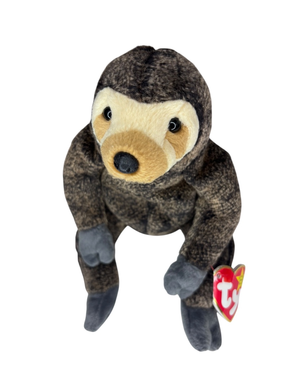TY Beanie Baby Slowpoke Sloth 1999 Vintage Retired Plush w/ Tag EUC